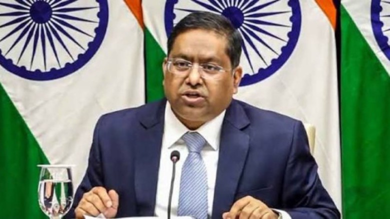 দিল্লিতে হাসিনার বক্তব্য নিয়ে যা বলছে ভারত