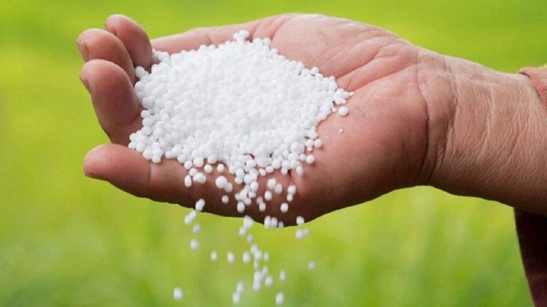 সার নিয়ে  কৃষক দিশেহারা